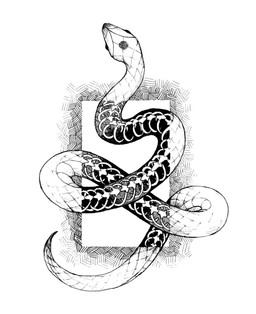 ambiguous_gender bone feral rib_cage scales serpentine simple_background skeleton snout solo spine tail white_body x-ray_view feefal reptile scalie snake hi_res monochrome traditional_media_(artwork)