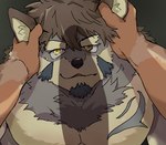 anthro duo erection fur grabbing_face grey_body grey_fur hand_on_head imminent_sex kemono male male/male muscular muscular_male pecs penis_shadow yellow_eyes tamainu lifewonders tokyo_afterschool_summoners temujin_(tas) canid canine canis mammal wolf hi_res unavailable_at_source