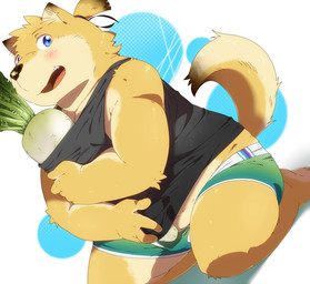 anthro blue_eyes blush brown_body brown_fur clothing food fur humanoid_hands kemono male overweight overweight_anthro overweight_male plant shirt solo topwear underwear vegetable young hinami canid canine canis domestic_dog mammal 2015