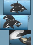 3:4 breastfeeding cetacean comic dolorcin dolphin family female feral group hi_res mammal marine oceanic_dolphin orca toothed_whale