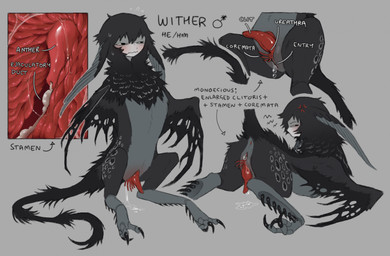 andromorph animal_genitalia anus big_clitoris black_body black_claws black_eyes black_feathers black_fur black_hair black_mane black_tail blush bodily_fluids claws clitoris feathered_ears feathers fur genital_fluids genitals grey_background grey_body grey_ears grey_feathers grey_fur hair huge_clitoris insect_legs internal intersex lying mane multicolored_body multicolored_feathers multicolored_fur nervous nervous_sweat on_front pseudo-penis red_anus red_clitoris red_insides simple_background sitting solo sweat tail text unusual_anatomy unusual_genitalia unusual_vulva vaginal_fluids vulva wavy_mouth winged_arms wings jejejunum european_mythology greek_mythology mythology wither_(jejejunum) avian harpy mythological_avian mythological_creature nethermare 2025 character_name digital_drawing_(artwork) digital_media_(artwork) english_description english_text hi_res model_sheet