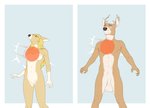 animal_genitalia anthro antlers ball balls big_balls breast_torture breasts chest_hit comparison duo female female_focus fully_sheathed genitals horn male male_focus nude pain pussy sheath 9x9 cervine deer mammal