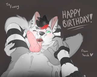animal_genitalia animal_penis anthro balls birthday black_nose blush canine_genitalia canine_penis claws clothing drakue duo ear_piercing erection footwear fur genitals green_eyes hair heart_symbol knot legwear male male/male multicolored_hair open_mouth paws penis piercing simple_background socks solo_focus teeth text tongue tongue_out white_body white_fur backsash sash_(backsash) canid canine canis mammal wolf 2015 digital_media_(artwork) english_text hi_res shaded