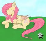 cutie_mark eyes_closed feathered_wings feathers female feral fur hair long_hair outside pink_hair simple_background smile solo wings yellow_body yellow_feathers yellow_fur wodahseht friendship_is_magic hasbro my_little_pony mythology fluttershy_(mlp) equid equine mammal mythological_creature mythological_equine pegasus 2015 absurd_res hi_res