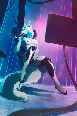 anthro breasts clothing computer cyberpunk cyberspace electronics female masturbation panties penetration solo underwear vaginal vaginal_penetration belk1n karo canid canine fox mammal 2:3 hi_res