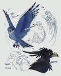 ambiguous_gender beak black_beak black_body black_claws black_feathers blue_body blue_feathers blue_text claws duo feathered_wings feathers feral flying heart_symbol open_beak open_mouth solo tail tail_feathers text wings yellow_eyes trunswicked guardians_of_ga'hoole kreeth_(gogh) pleek the_striga ygryk avian bird blue_owl_(gogh) great_horned_owl hagsfiend horned_owl owl true_owl 2023 4:5 character_name digital_drawing_(artwork) digital_media_(artwork) english_text handwritten_text hi_res sketch_page