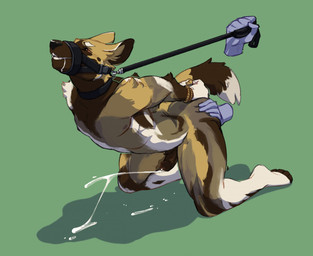 ambiguous_gender anthro arched_back athletic bdsm big_ears black_nose black_penis bodily_fluids butt butt_grab cum cumshot disembodied_hand duo ejaculation fur fur_markings genital_fluids genitals hand_on_butt hands-free kneeling leash leash_pull male male/ambiguous markings multicolored_body multicolored_fur narrowed_eyes orange_eyes orgasm penis saliva saliva_string simple_background solo_focus cosmicminerals fari_paredes african_wild_dog canid canine mammal 2020