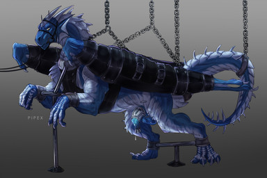 4_toes ankle_cuffs arm_restraints arm_spreader balls bdsm blue_body bodily_fluids bondage bound bridle chain chained chastity_cage chastity_device clothing collar cuff_(restraint) cuffs_to_collar digitigrade erection feet feral fully_bound genital_fluids genitals handwear horn leather leather_cuffs leg_restraint leg_spreader lock male metal_collar mittens muzzle_(object) non-mammal_balls padlock penis precum reins restrained restraints shackles solo spreader_bar straps submissive submissive_male tail tail_cuff toes wings wings_tied wrist_cuffs pipex mythology ws5000 dragon mythological_creature mythological_scalie reptile scalie 2022 hi_res