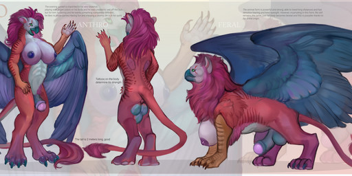 anthro blue_wings bodily_fluids cum feathers feral genital_fluids genitals hair herm intersex mane paws penis pink_hair solo tail text wings diorionarh mythology rio_(character) avian gryphon mythological_avian mythological_creature absurd_res english_text hi_res model_sheet portrait