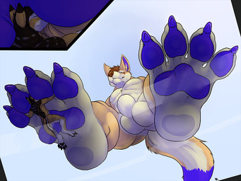 animal_genitalia anthro anthro_on_anthro black_body black_fur blue_claws blue_eyes blue_pawpads brown_hair brown_nose claws close-up crush cutaway duo eyes_closed feet foot_fetish fully_sheathed fur genitals hair low-angle_view lying macro male male/male micro mouth_closed nude on_back orange_body orange_fur pawpads pecs sheath short_hair standing white_body white_fur worm's-eye_view solaxe_(artist) dannydumal fenki canid canine canis fennec_fox fox mammal mexican_wolf true_fox wolf 4:3
