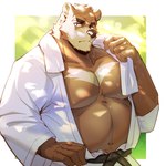 anthro barazoku belly bodily_fluids border brown_body brown_fur clothed clothing dappled_light fur light looking_at_viewer male martial_arts_uniform musclegut muscular muscular_anthro muscular_male open_clothing open_topwear outside_border pecs slightly_chubby solo sportswear sunlight sweat topwear towel towel_around_neck orzero morenatsu juuichi_mikazuki bear mammal 1:1 2023 half-length_portrait hi_res portrait