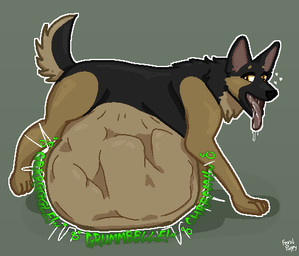 4_toes ambiguous_gender ambiguous_pred anthro belly big_belly black_body black_fur black_nose bodily_fluids digestion drooling feet feral fur grey_background multicolored_body multicolored_fur neck_tuft open_mouth orange_eyes pink_tongue saliva simple_background solo standing tail toes tongue tongue_out tuft vore feral-puppy canid canine canis domestic_dog german_shepherd herding_dog mammal pastoral_dog shaded