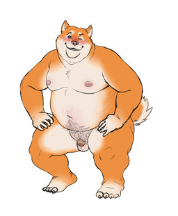 anthro balls blush countershade_balls countershade_crotch countershade_face countershade_feet countershade_genitalia countershade_tail countershade_torso countershading crouching feet flaccid foreskin genitals hands_on_legs hands_on_thighs humanoid_genitalia humanoid_penis larger_but_small looking_at_viewer male male_anthro moobs nipples nude nude_anthro nude_male obese obese_anthro obese_male open_mouth open_smile overweight overweight_anthro overweight_male penis simple_background small_penis smile smiling_at_viewer solo tail teeth white_background kronexfire canid canine canis domestic_dog mammal shiba_inu spitz 2019 hi_res