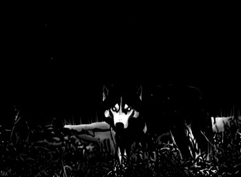 ambiguous_gender feral grass horror_(theme) looking_at_viewer night nightmare_fuel plant scary smile smiling_at_viewer solo m4n creepypasta smile.dog canid canine canis domestic_dog husky mammal monster nordic_sled_dog spitz hi_res monochrome