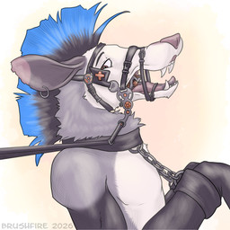 anthro bdsm blue_hair bondage bound bridle hair male petplay ponyplay reins restraints roleplay simple_background solo brushfire kalus american_opossum mammal marsupial virginia_opossum 1:1 absurd_res hi_res