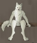 animal_genitalia anthro balls balls_on_surface balls_rest claws digitigrade fully_sheathed fur genitals looking_at_viewer male orange_eyes rest sheath sitting solo white_body white_fur sketchyfreki canid canine canis mammal wolf absurd_res hi_res