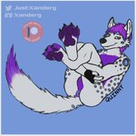 anthro anus blue_border border feet foot_focus fur hair hindpaw hugging_legs inner_ear_fluff long_tail looking_at_viewer lying male markings on_back orange_eyes pawpads paws perineum presenting presenting_anus purple_hair purple_pawpads purple_paws solo spots spotted_body spotted_fur tail tuft xanderg_(artist) quinny canid canine fox hybrid hyena mammal spotted_hyena 1:1