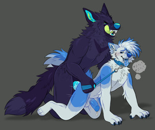 all_fours anal anal_penetration anthro anthro_on_anthro anthro_penetrated anthro_penetrating anthro_penetrating_anthro balls big_penis blue_penis blush bodily_fluids circumcised claws collar cum cum_drip doggystyle dripping duo erection from_behind_position fur genital_fluids genitals half-erect humanoid_genitalia humanoid_penis intraspecies kneeling leash leash_pull licking licking_lips male male/male motion_lines muscular on_ground open_mouth path_lines penetration penile penile_penetration penis precum precum_on_penis purple_body purple_fur saliva saliva_on_tongue sex simple_background tongue tongue_out white_body white_fur princelykaden canid canine canis mammal wolf digital_media_(artwork) hi_res