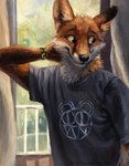 anthro balcony band_merch black_lips black_nose bracelet brown_eyes clothed clothing curtains detailed_background fur hand_behind_head inner_ear_fluff inside jewelry lips long_mouth looking_away male no_sclera orange_body orange_fur scruffy shirt shirt_logo shy smile snout solo topwear tuft whiskers white_body white_fur window wristband kenket radiohead modified_bear canid canine fox mammal red_fox true_fox 2015 detailed half-length_portrait painting_(artwork) portrait shaded soft_shading traditional_media_(artwork)