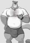 2020 5_fingers anthro areola belly big_belly big_bulge biped bodily_fluids bulge claws clothing cougar detailed_bulge digital_drawing_(artwork) digital_media_(artwork) exercise felid feline finger_claws fingers greyscale grin huge_bulge ill-fitting_clothes male male_anthro mammal mature_anthro mature_male monochrome musclegut muscular muscular_anthro muscular_male navel nipples pecs shirt smile solo standing sweat t-shirt tcw thick_thighs topwear underwear workout