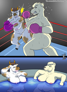 5_toes anthro areola big_breasts big_butt biped bodily_fluids boxing boxing_gloves breasts butt clothing duo feet female fight fighting_ring genitals handwear horn nipples nude nude_anthro nude_female one_eye_closed pink_nipples simple_background slightly_chubby slightly_chubby_anthro slightly_chubby_female sport sweat thick_thighs three-quarter_view toes vulva denlusty bear bovid bovine cattle mammal polar_bear ursine 2025 hi_res