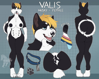anthro areola biped breasts butt countershade_torso countershading feet female front_view fur genitals hair navel nipples nude nude_anthro nude_female rear_view smile solo standing tail teeth toes tongue vulva fenn.perrox canid canine canis domestic_dog mammal 2026 digital_drawing_(artwork) digital_media_(artwork) hi_res