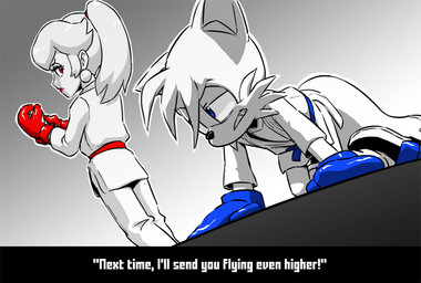 anthro boxing_gloves clothing defeat female hair handwear karate keikogi male male/female martial_arts_uniform ponytail sportswear joeadok mario_bros nintendo sega sonic_the_hedgehog_(series) miles_prower princess_peach canid canine fox human mammal