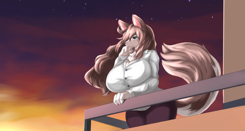 anthro big_breasts bodily_fluids bottomwear breasts brown_body brown_fur brown_hair clothed clothing collared_shirt crying dress_shirt female fully_clothed fur grey_eyes hair huge_breasts kemono long_hair multicolored_body multicolored_fur neck_tuft outside pants shirt sky solo standing star starry_sky sunset tears topwear tuft two_tone_body two_tone_fur white_body white_fur inake canid canine canis mammal wolf absurd_res hi_res