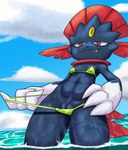 anthro bikini biped clothing cloud female genitals partially_submerged pussy solo swimwear two-piece_swimsuit water nuttylepe nintendo pokemon generation_4_pokemon pokemon_(species) weavile hi_res