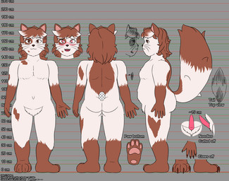 animal_genitalia animal_penis anthro blush brown_body brown_fur chart claws feline_genitalia feline_penis fluffy fluffy_tail fur genitals heart_eyes heart_symbol height_chart humanoid_hands male multiple_poses overweight overweight_male paws penis pose simple_background solo tail white_body white_fur evan_harrey reku_(akubon) domestic_cat felid feline felis mammal persian_cat model_sheet