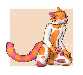 anthro blush bodily_fluids cum cumshot ejaculation fluffy fur fuzzy für genital_fluids genitals kneeling male markings masturbation orange_body orange_fur penile penile_masturbation penis solo striped_markings striped_tail stripes tail tail_markings white_body kyaro domestic_cat felid feline felis mammal hi_res
