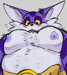 anthro belly big_belly blush bodily_fluids fur looking_at_viewer male moobs nipples open_mouth pecs purple_body purple_fur purple_nipples solo sweat sweatdrop worried_look yellow_eyes cricketkisses freshly_uprooted pec_pov_meme sega sonic_the_hedgehog_(series) big_the_cat domestic_cat felid feline felis mammal hi_res