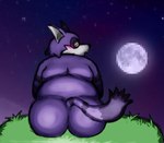 anthro big_butt blush butt fur grass looking_at_viewer looking_back male moon nude overweight plant purple_body purple_fur sky solo tail virgobiologist sega sonic_the_hedgehog_(series) big_the_cat felid feline mammal colored digital_drawing_(artwork) digital_media_(artwork) shaded widescreen