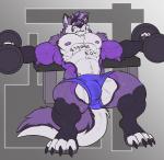 2018 abs anthro biceps big_muscles black_nose bodily_fluids body_writing bottomwear bulge canid canine canis claws clothed clothing dumbbell ear_piercing english_text exercise fox fur hair hybrid male mammal muscular muscular_anthro muscular_male nightterror nipples pecs piercing purple_body purple_fur purple_hair shorts shyloc simple_background solo sweat text text_on_body topless weightlifting weights wet wet_clothing white_body white_fur wolf workout writing_on_chest