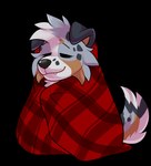 anthro bedding blanket calm comfortable comfy cozy fluffy male plaid relaxing snug solo tired wrapped rindeadsong beta_(betaetadelota) australian_shepherd australianshepherd canid canine canis domestic_dog herding_dog mammal pastoral_dog sheepdog hi_res