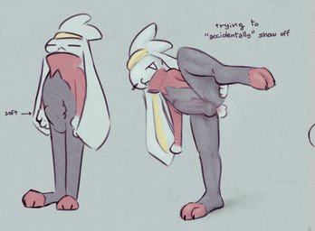 3_toes anthro big_penis bulge clothing detailed_bulge erection erection_under_clothing feet genital_outline genitals long_penis male paws penis penis_outline raised_leg small_but_hung solo tail text toes miii_cho nintendo pokemon generation_8_pokemon pokemon_(species) raboot english_text
