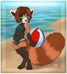 anthro ball beach beach_ball bikini bikini_bottom bikini_top biped black_body black_fur black_nose brown_body brown_fur brown_hair bulge claws clothed clothing crossdressing detailed_background detailed_bulge digitigrade femboy fur green_eyes hair holding_ball holding_object inflatable looking_at_viewer male multicolored_body multicolored_fur navel outside pool_toy pose sand sea seaside sky smile solo standing swimwear two-piece_swimsuit water white_body white_fur young young_anthro firefly8083 charlie_(bencoon) ailurid mammal red_panda 2016 hi_res signature