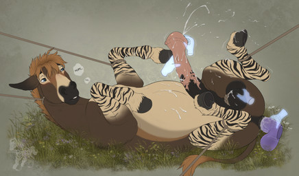 anal anal_penetration animal_genitalia animal_penis arms_tied ball_fondling ball_rope balls bestiality big_balls big_penis blue_eyes bodily_fluids bound brown_body brown_fur butt dildo dildo_in_ass dildo_insertion disembodied_hand equine_genitalia equine_penis erection excessive_genital_fluids excessive_precum feral fingering flared_penis fondling fur genital_fluids genital_rope genitals ghost_hand glans_play hair huge_balls huge_flare huge_penis leash legs_tied lying male markings object_in_ass on_back orange_hair penetration penile penis precum rope rope_around_balls rope_around_neck rope_leash sex_toy sex_toy_in_ass sex_toy_insertion solo solo_focus striped_markings stripes tail text urethral urethral_fingering white_body white_fur fenn.perrox sean_(kofichee) asinus donkey equid equine mammal absurd_res digital_media_(artwork) english_text hi_res