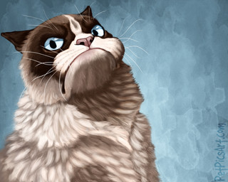 ambiguous_gender angry blue_eyes feral fur grumpy humor looking_at_viewer pink_nose solo unimpressed whiskers taenggo tardar_sauce domestic_cat felid feline felis mammal 5:4 meme
