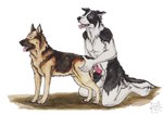 anatomically_correct anatomically_correct_genitalia anatomically_correct_penis animal_genitalia animal_penis anthro anthro_on_feral balls bestiality black_body black_fur blue_eyes canine_genitalia canine_penis duo erection fangs feral floppy_ears fur genitals kneeling knot_in_sheath lipsticking male male/male nude open_mouth orange_eyes penis sheath side_view tan_body tan_fur tan_sheath teeth tongue tongue_out white_balls white_body white_fur kola_(artist) border_collie canid canine canis collie domestic_dog german_shepherd herding_dog mammal pastoral_dog sheepdog painting_(artwork) traditional_media_(artwork) watercolor_(artwork)