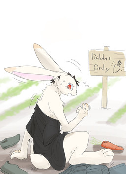 anthro big_ears biped bodily_fluids carrot food human_to_anthro implied_transformation plant shocked shrinking size_transformation solo species_transformation sweat sweatdrop tears transformation vegetable juutton lagomorph leporid mammal rabbit hi_res
