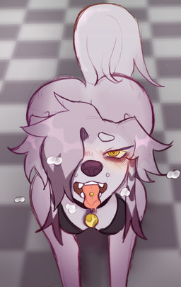 anthro begging bodily_fluids breasts clothed clothing female floor fur grey_body grey_fur hair looking_at_viewer solo tail tile tile_floor esprit-arait candle_the_saluki canid canine canis domestic_dog hunting_dog mammal saluki sighthound digital_media_(artwork) hi_res