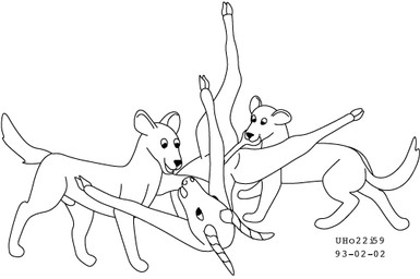 animal_genitalia ball_bite balls feral forced genitals group hooves horn imminent_vore lying male on_back sheath simple_background smile tail trio unwilling_prey white_background willing_pred urbanhermit african_wild_dog antelope bovid canid canine mammal 1993 black_and_white dated monochrome