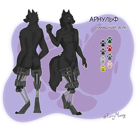 animal_genitalia anthro backsack balls biped black_body black_fur black_nose claws cybernetics fully_sheathed fur genitals green_eyes machine male male_anthro pawpads paws prosthetic prosthetic_leg prosthetic_limb rear_view sheath solo tail toe_claws furrymammy arnulf_bader canid canine canis mammal wolf absurd_res hi_res model_sheet