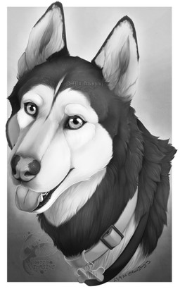 black_body black_fur border collar collar_tag fangs feral fur grey_background grey_collar grey_eyes grey_nose grey_tongue light logo looking_at_viewer male male_feral multicolored_body multicolored_fur name_tag realistic simple_background smile smiling_at_viewer solo teeth text tongue tongue_out two_tone_body two_tone_fur white_body white_border white_fur white_inner_ear maticdesigns milo_the_husky canid canine canis domestic_dog husky mammal nordic_sled_dog siberian_husky spitz 2024 5:8 artist_logo artist_name bust_portrait dated digital_drawing_(artwork) digital_media_(artwork) english_description greyscale hi_res lighting monochrome portrait shaded male_(lore)