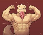 5_fingers abs anthro barazoku biceps black_nose clothed clothing detailed_food eating eating_food fingers fist flexing floppy_ears food food_in_mouth fur kemono looking_at_viewer male meat muscular muscular_anthro muscular_male navel nipples pecs red_background simple_background solo teeth text topless topless_anthro topless_male yellow_body yellow_fur rpbbw canid canine canis domestic_dog mammal detailed japanese_text