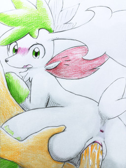 anus bestiality black_nose blush blush_lines duo female feral fur genitals green_body green_eyes green_fur interspecies male male/female open_mouth penetration penile penile_penetration penis penis_in_vagina pokephilia sex tail vaginal vaginal_penetration vulva white_body white_fur white_tail eiroru nintendo pokemon generation_4_pokemon human legendary_pokemon mammal pokemon_(species) shaymin sky_forme_shaymin 2023 3:4 absurd_res hi_res