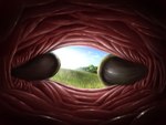 ambiguous_gender ambiguous_pred anal anal_vore anus claws duo fingering first_person_view grass guts internal intestines meadow organs plant prey_pov stretched_anus sun tree vore ward0r reptile scalie absurd_res hi_res