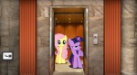 blue_eyes duo elevator equid equine feathered_wings feathers female feral fluttershy_(mlp) friendship_is_magic fur hair hasbro horn long_hair mammal mixed_media multicolored_hair my_little_pony mythological_creature mythological_equine mythology pegasus pink_hair ponies_in_real_life purple_body purple_eyes purple_fur purple_hair real short_hair twilight_sparkle_(mlp) two_tone_hair unicorn unknown_artist wings yellow_body yellow_feathers