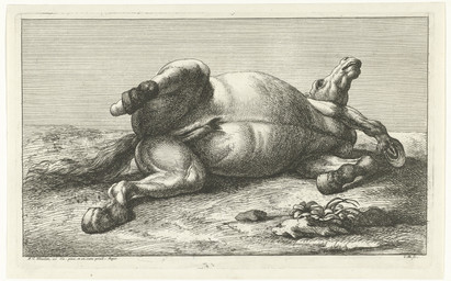 corpse death feral hooves lying male muscular muscular_feral nude on_side plant rock solo spread_legs spreading tail teeth jan_van_huchtenburg public_domain equid equine horse mammal absurd_res ancient_art engraving_(artwork) hi_res monochrome traditional_media_(artwork)
